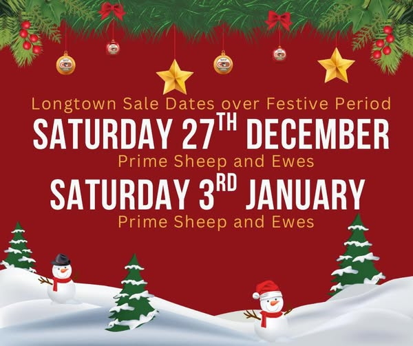 Christmas Primestock Sale Arrangements