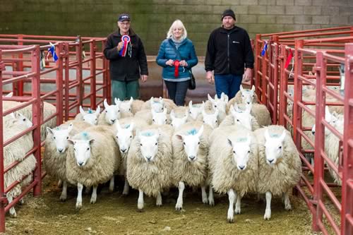 NC Cheviot Champions